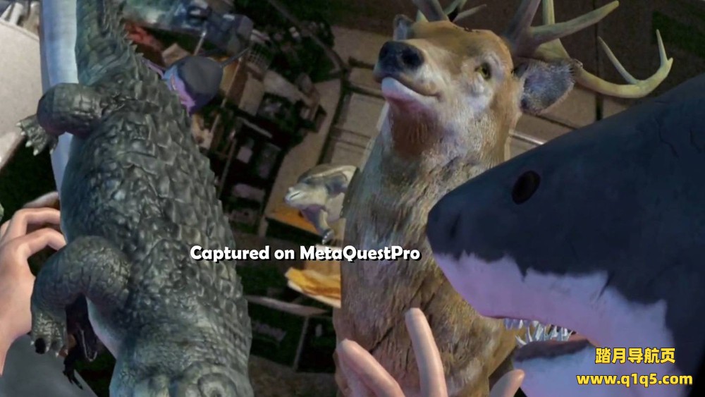 Oculus Quest 游戏《动物混合现实》Animalz Mixed Reality