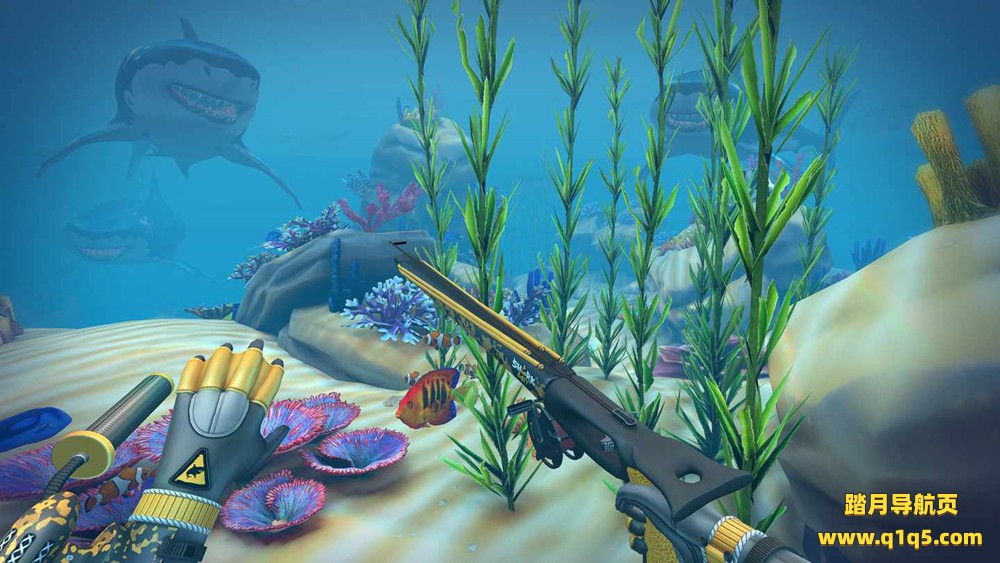 Oculus Quest 游戏《鲨鱼诱饵》SharkBait