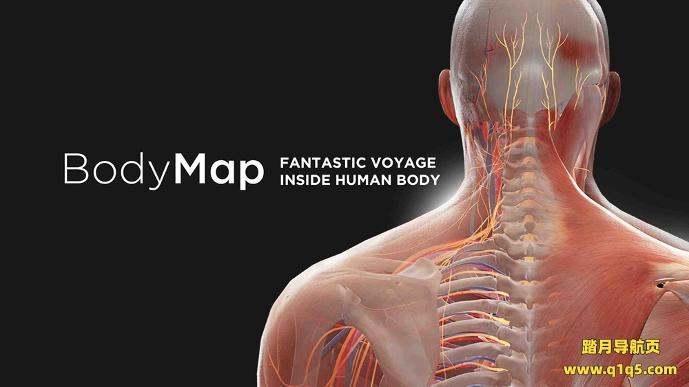 Oculus Quest 游戏《解剖学和医学教育》BodyMap for Anatomy and Medical Education