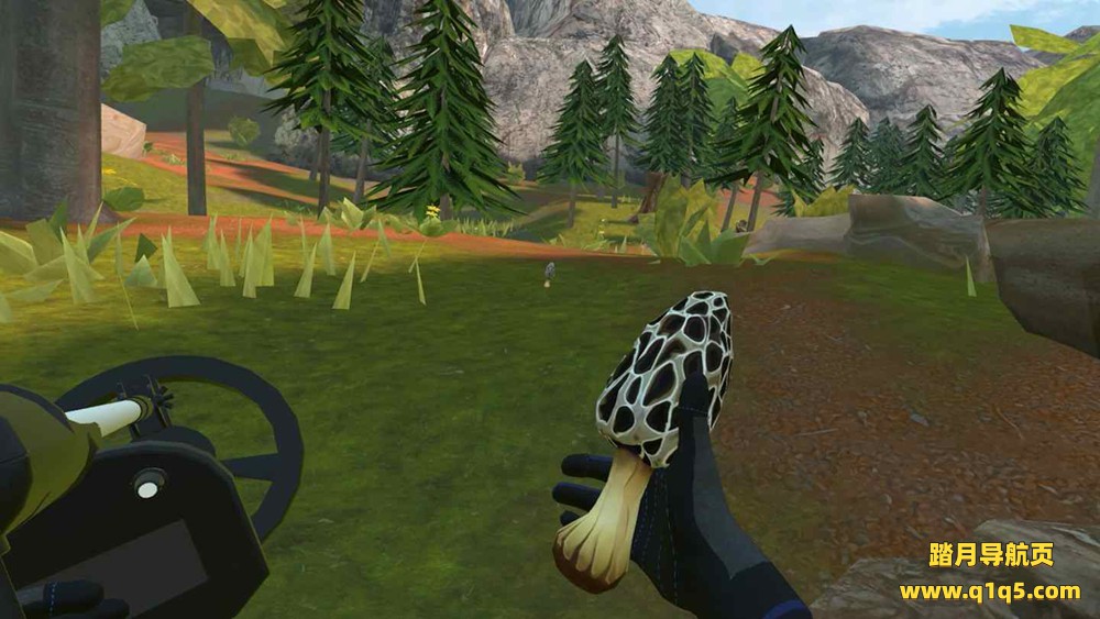 Oculus Quest 游戏《农场家园》Morels- Homestead