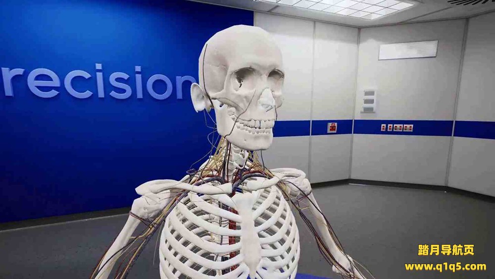 Oculus Quest 游戏《精密解剖学》BodyWorks Precision Anatomy