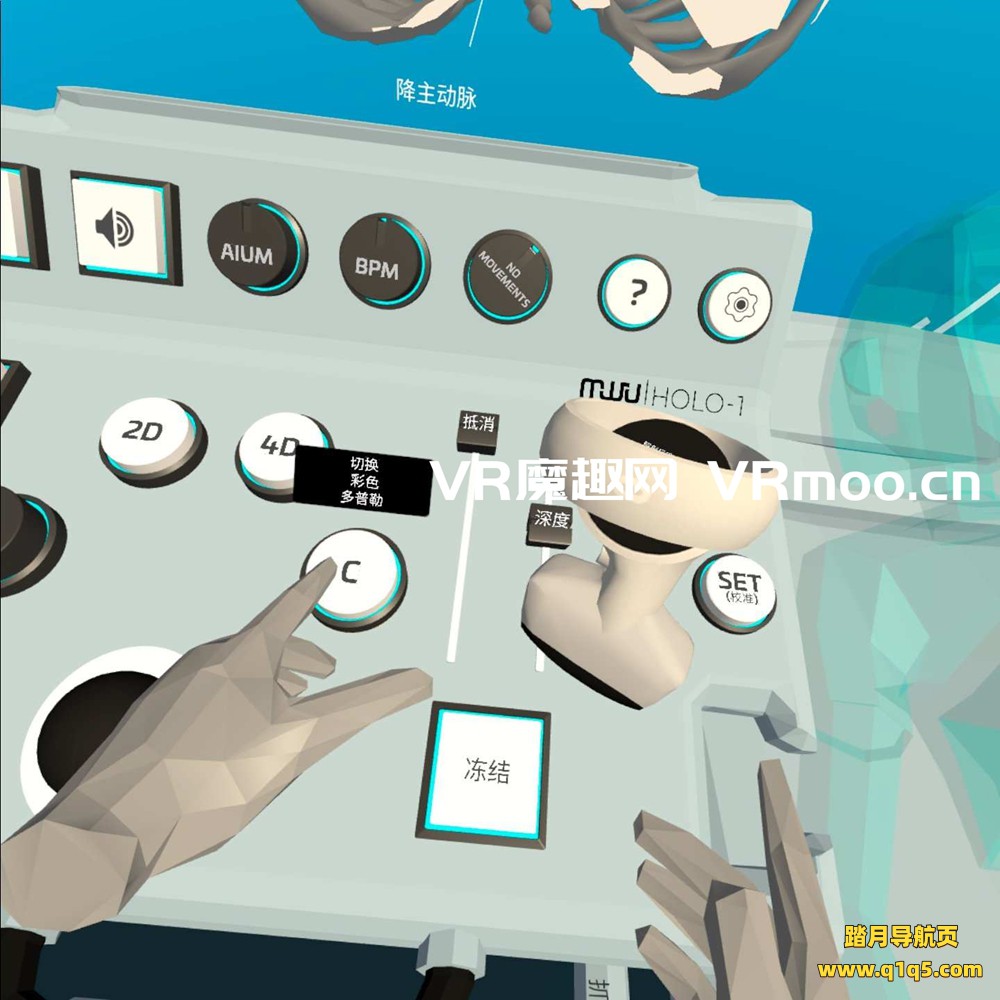 Oculus Quest 医学《心脏病医学VR汉化版》Fetal Heart VR