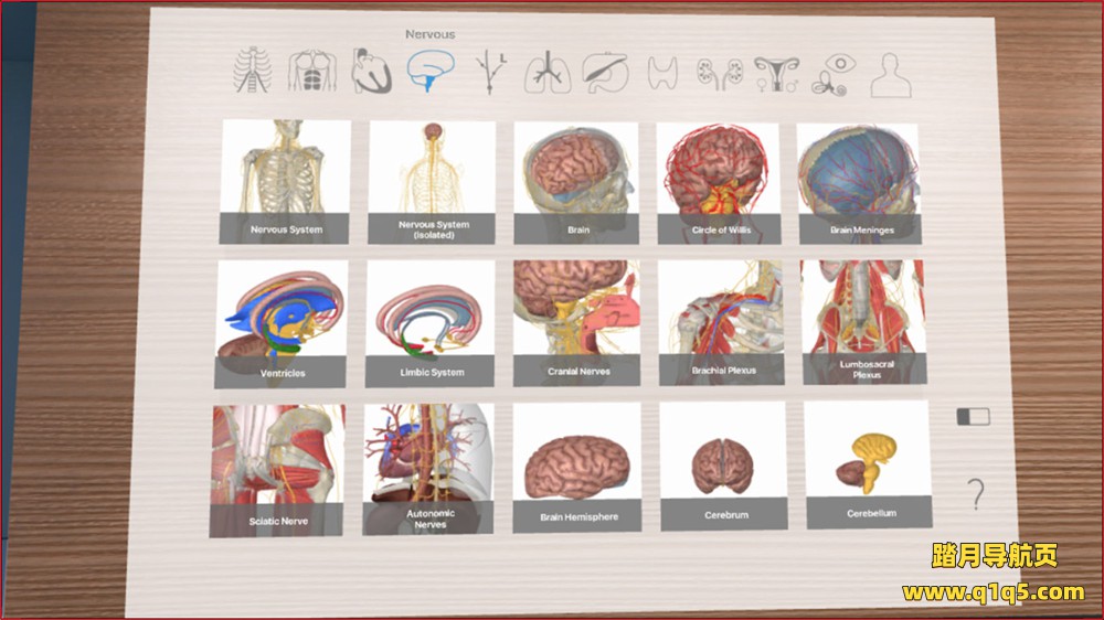 Oculus Quest 游戏《3D Organon VR Anatomy 2021》3D Organon VR 人体解剖学