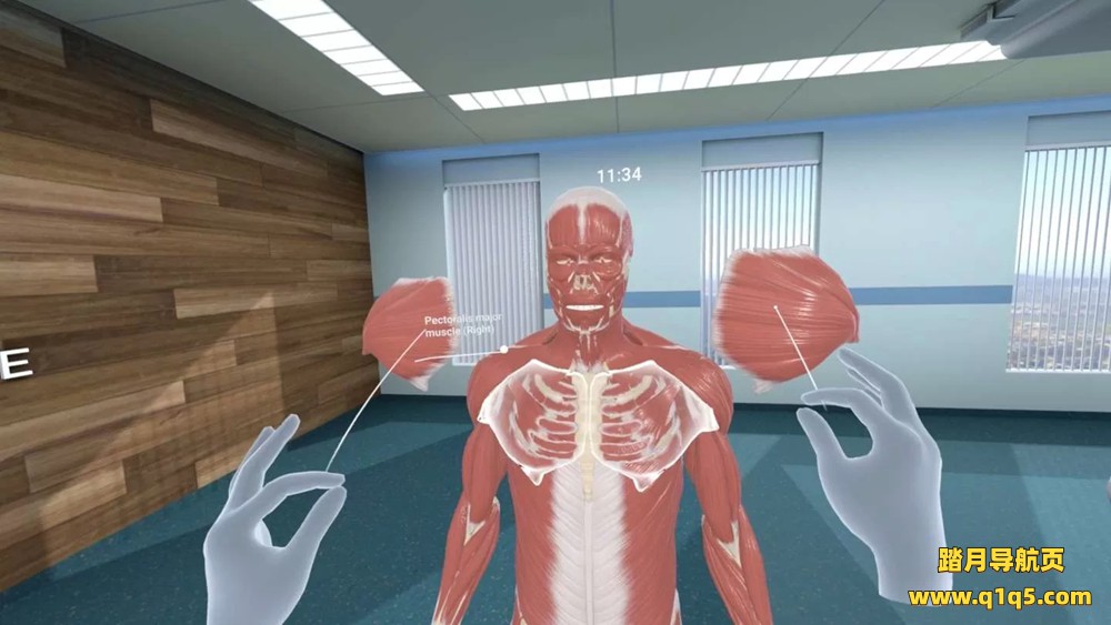 Oculus Quest 游戏《人体解剖VR》Human Anatomy VR