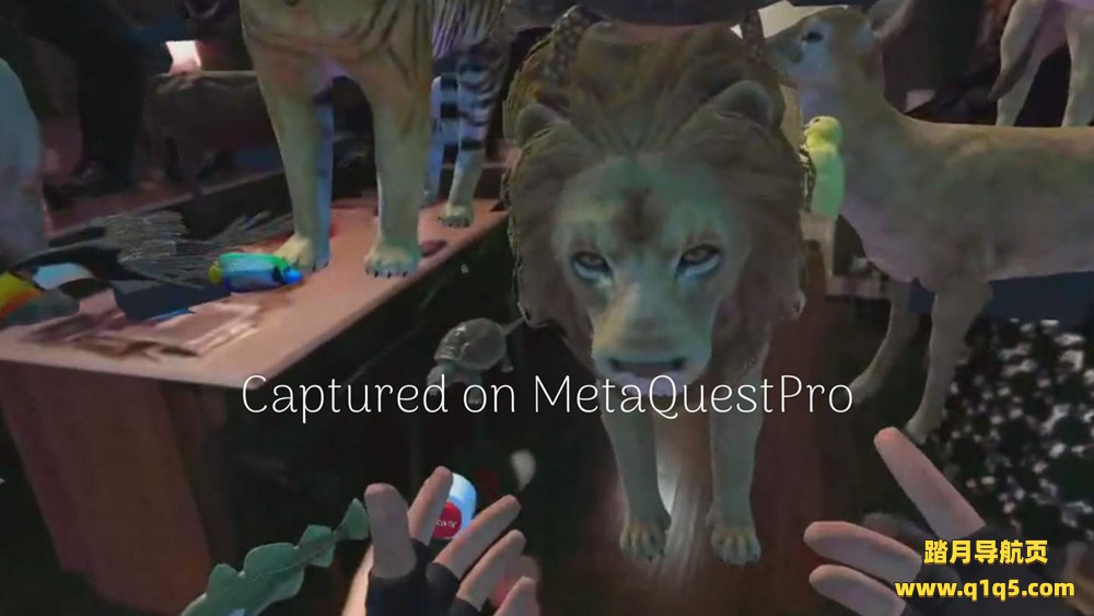 Oculus Quest 游戏《动物混合现实》Animalz Mixed Reality