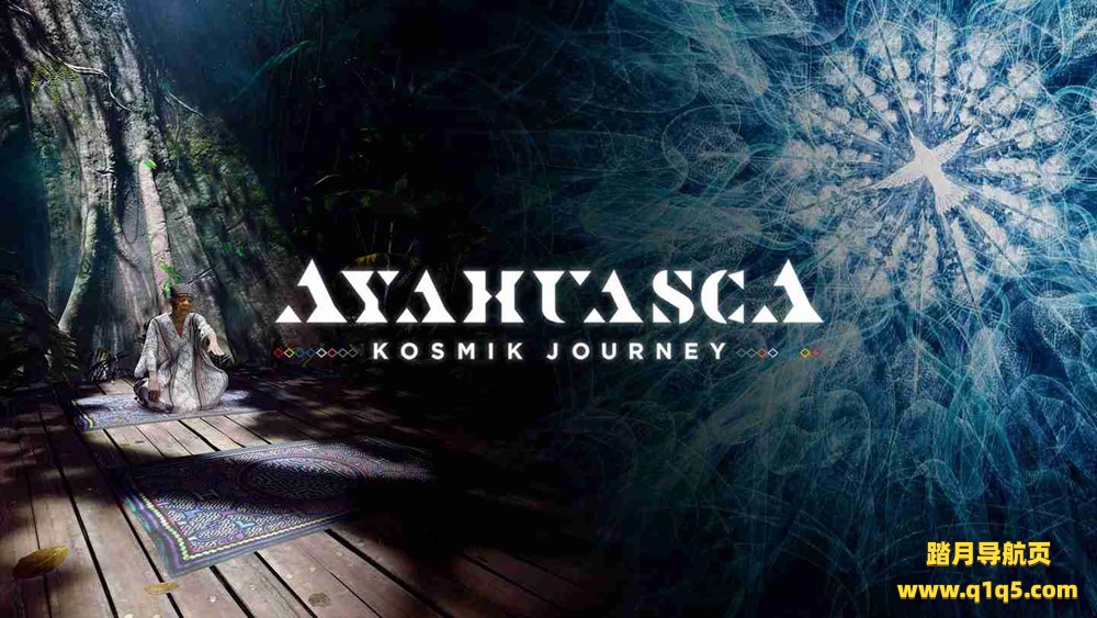 Oculus Quest 游戏《死藤 – 宇宙之旅》Ayahuasca – Kosmik Journey