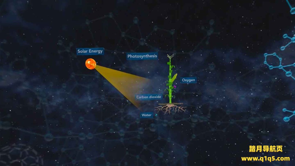 Meta Quest 游戏《大师化学》XR Guru- Chemistry