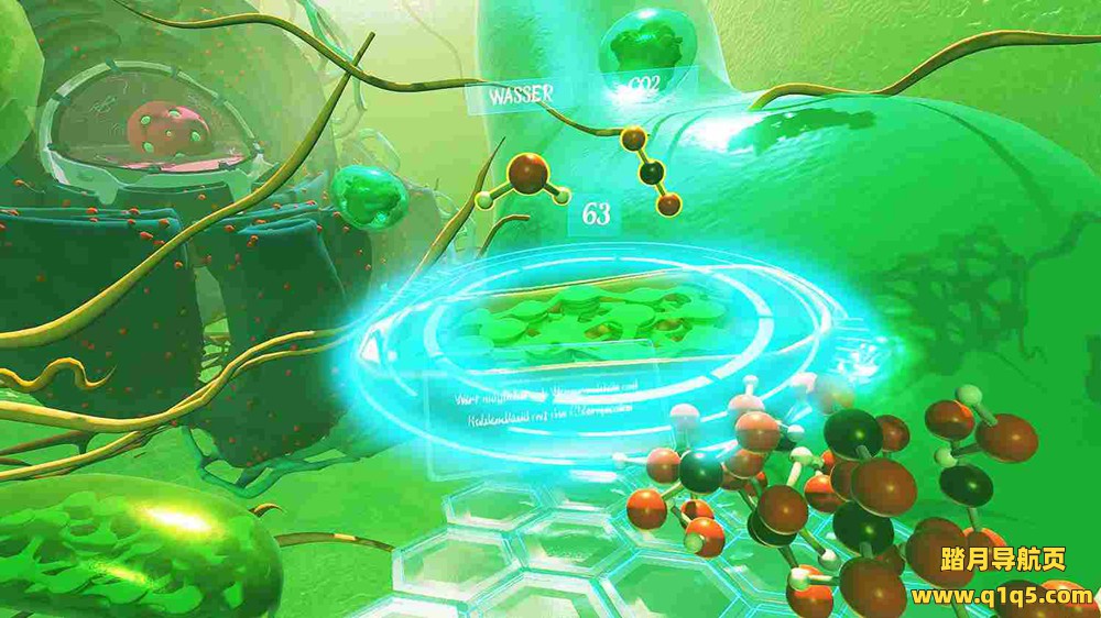 Meta Quest 游戏《VR植物之旅》VR Plant Journey