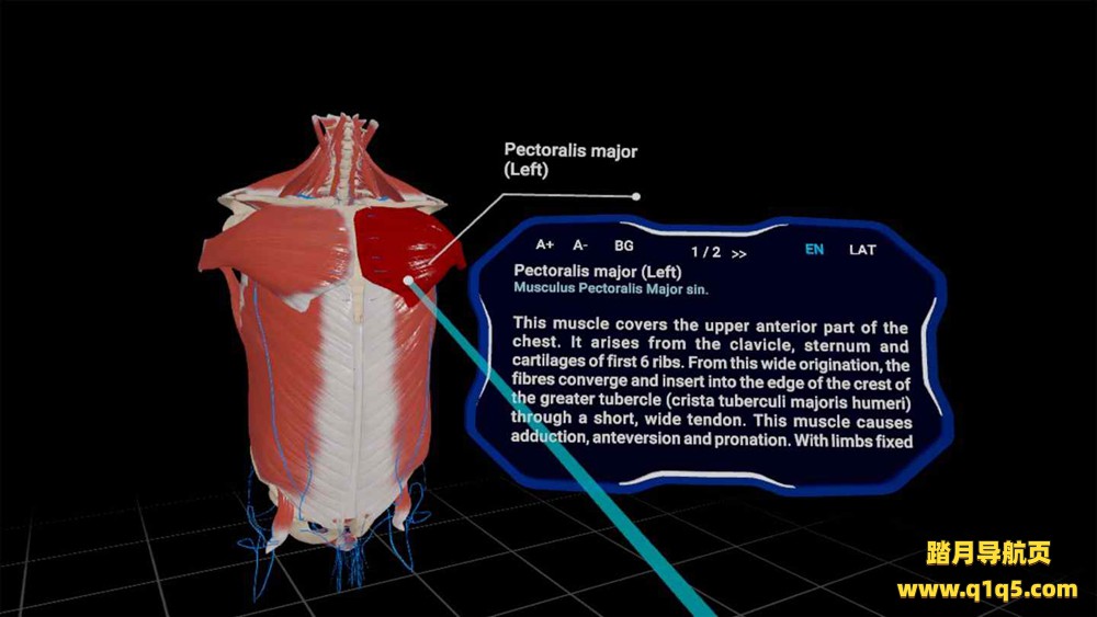 Oculus Quest 游戏《高中解剖学 VR》High School Anatomy for Quest