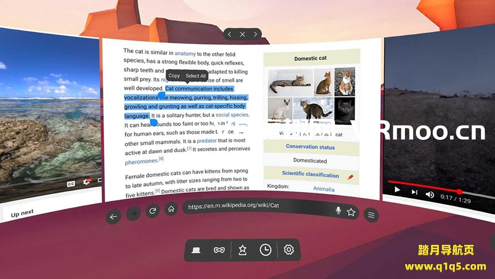 Oculus Quest 工具《Firefox Reality VR》火狐浏览器