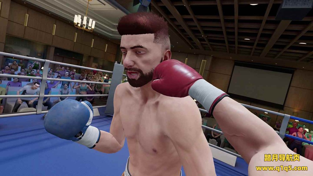 Oculus Quest 游戏《搏击的快感 2》The Thrill of the Fight 2