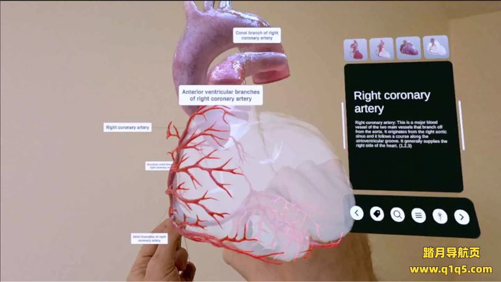 Oculus Quest 游戏《XR 心脏解剖》XR Heart Anatomy