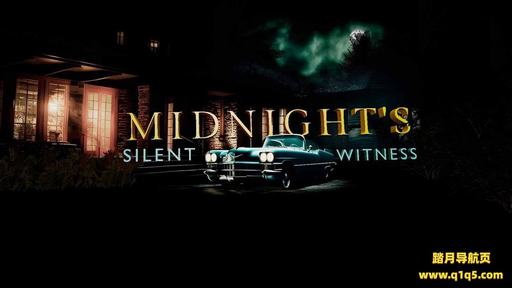 Oculus Quest 游戏《午夜的沉默证人》Midnights Silent Witness