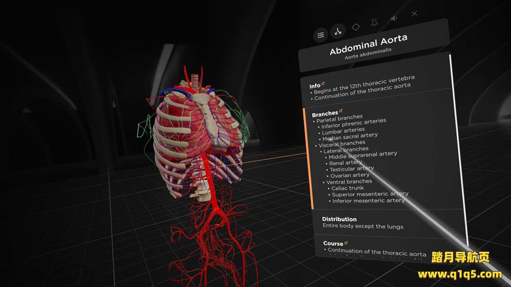 Oculus Quest 游戏《解剖学和医学教育》BodyMap for Anatomy and Medical Education