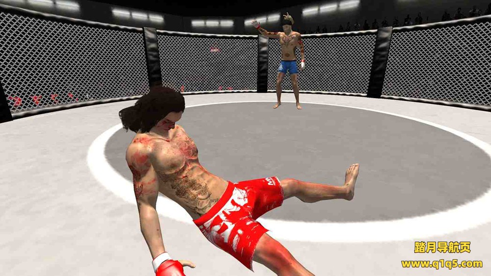 Meta Quest 游戏《VR拳击和格斗》VR Boxing And MMA