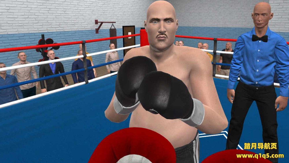 Oculus Quest 游戏《战斗拳击》The Fight