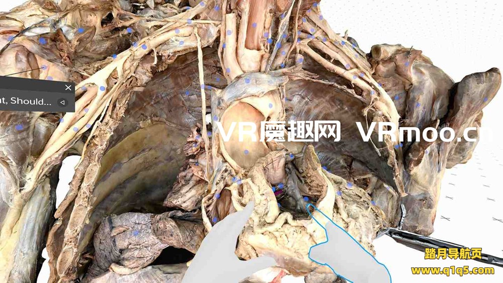Oculus Quest 游戏《医疗全息甲板解剖大师 XR》Medicalholodeck is Dissection Master XR