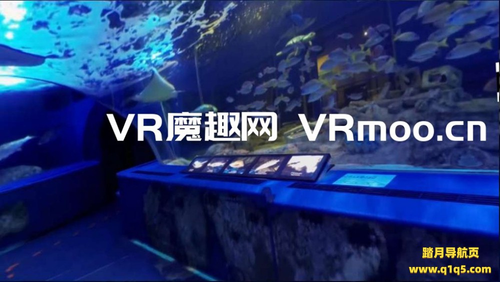 Oculus Quest 游戏《Walkable 360 Video》步行 360 度全景视频