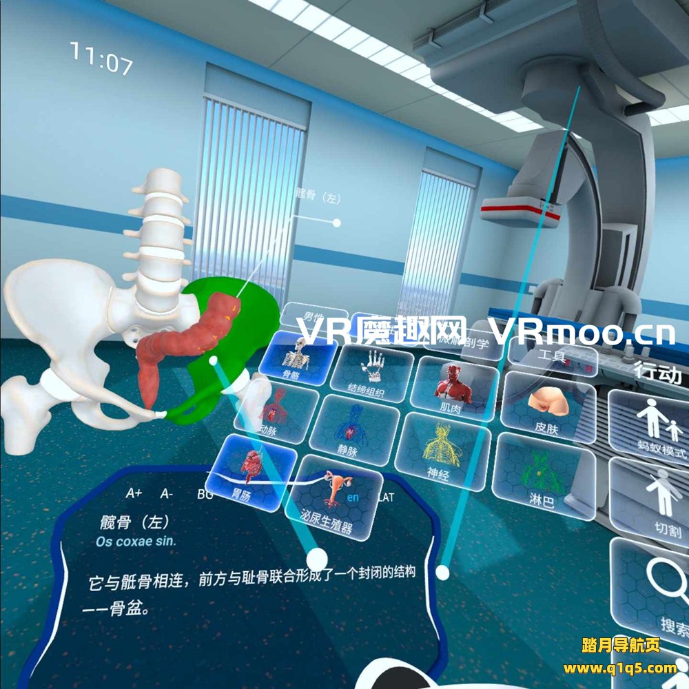 Oculus Quest 游戏《高中解剖学汉化中文版》High School Anatomy for Quest