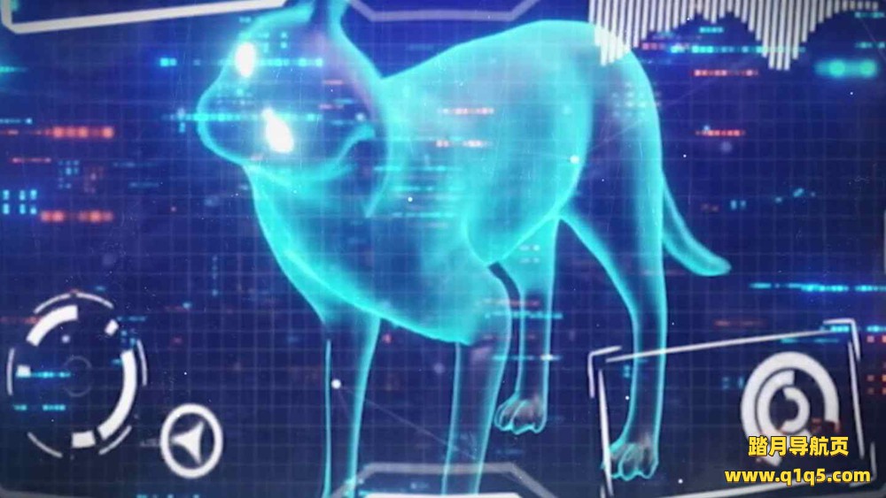 Oculus Quest 游戏《损害》Skader