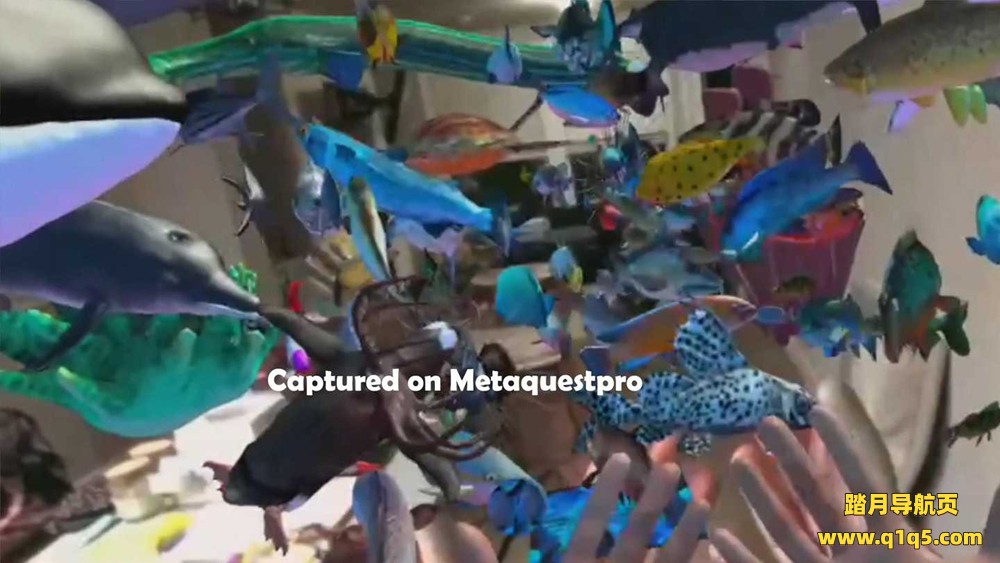 Meta Quest 游戏《丛林动物园海洋穿越》Jungle Zoo Ocean Passthrough Handtracking