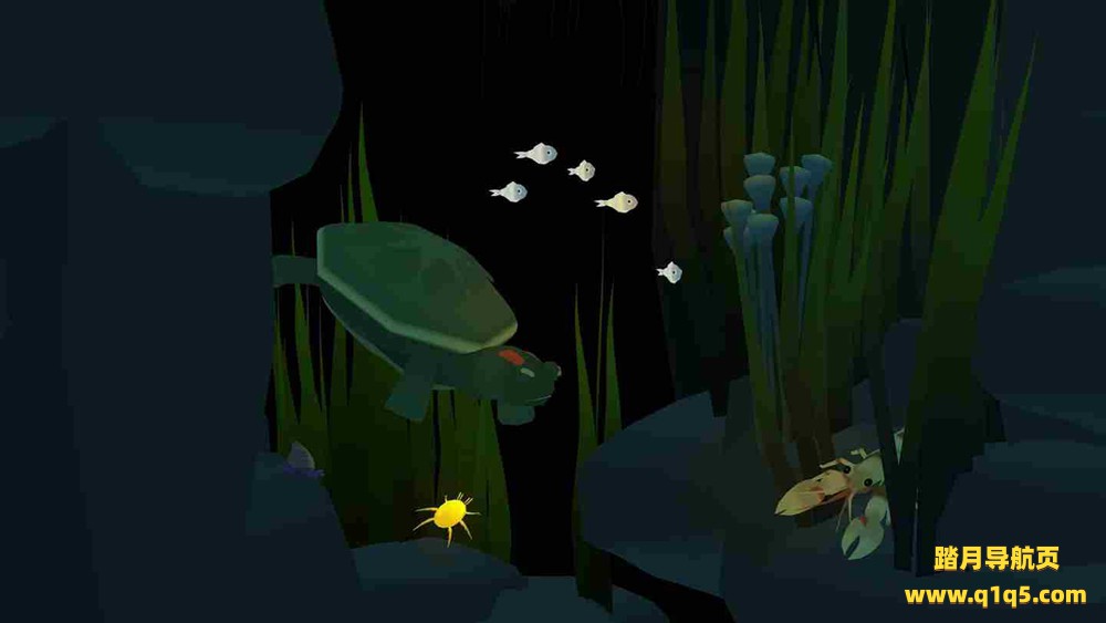 Meta Quest 游戏《池塘探索》PondQuest