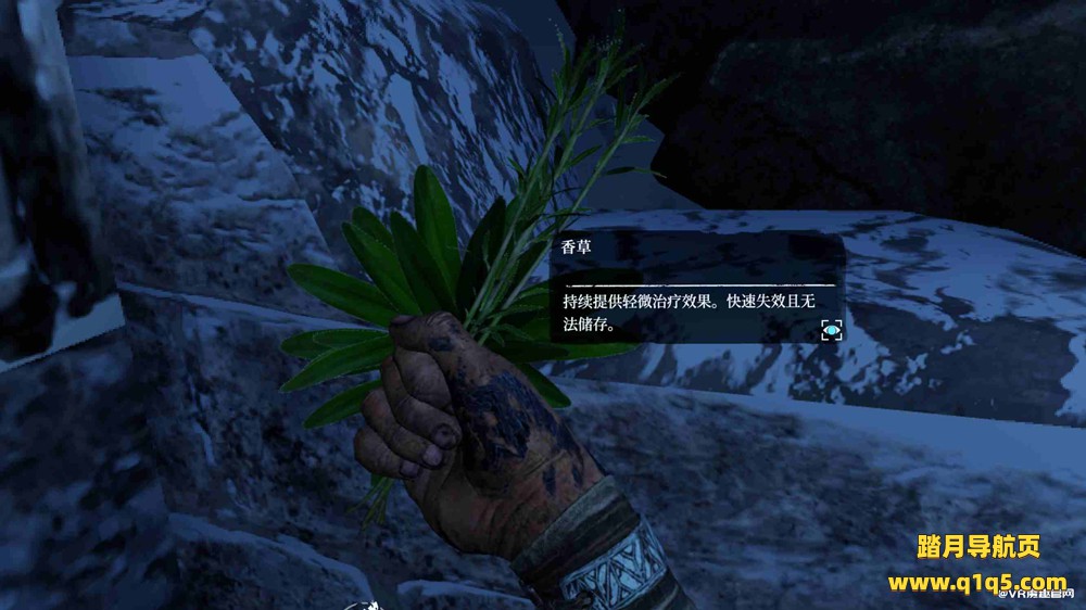 Meta Quest 游戏《遗忘之地 巨兽 汉化中文版》Skydance’s BEHEMOTH