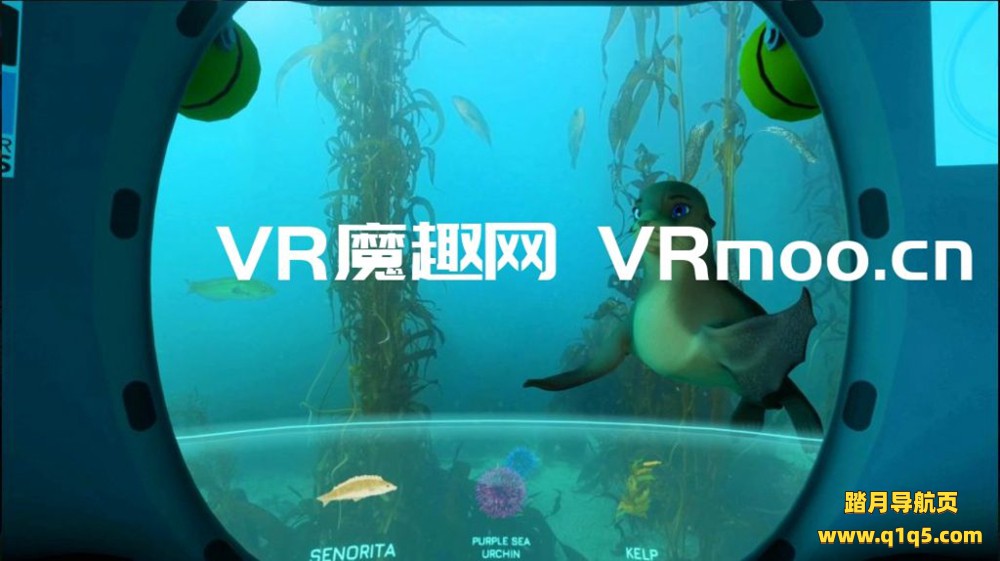 Oculus Quest 游戏《DIVE VR》加利福尼亚海洋