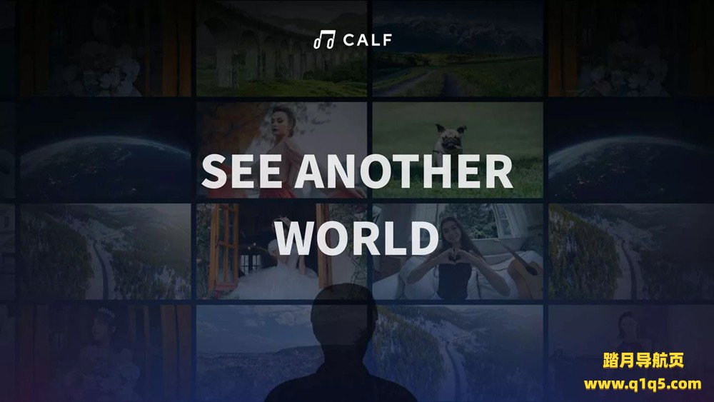 Oculus Quest 游戏《开飞视频》Calf  VR