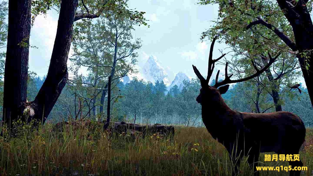 Oculus Quest 游戏《自然之旅VR》Nature Treks VR