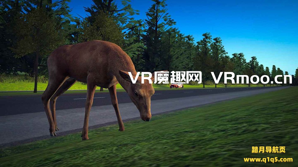 Oculus Quest 游戏《Street Sense VR》驾驶执照