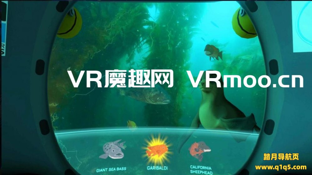 Oculus Quest 游戏《DIVE VR》加利福尼亚海洋