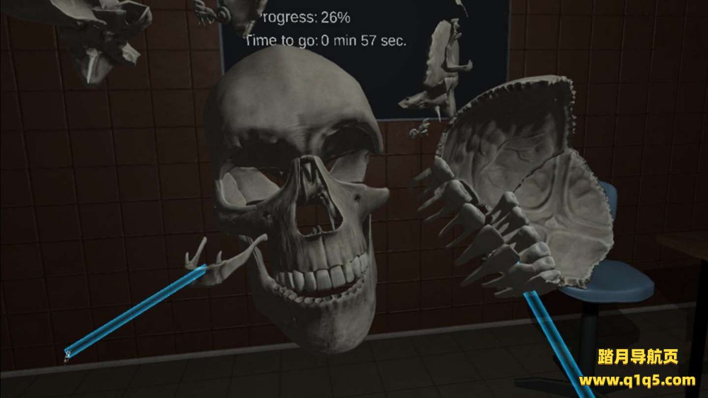 Oculus Quest 游戏《人体解剖学》Human Anatomy Puzzle