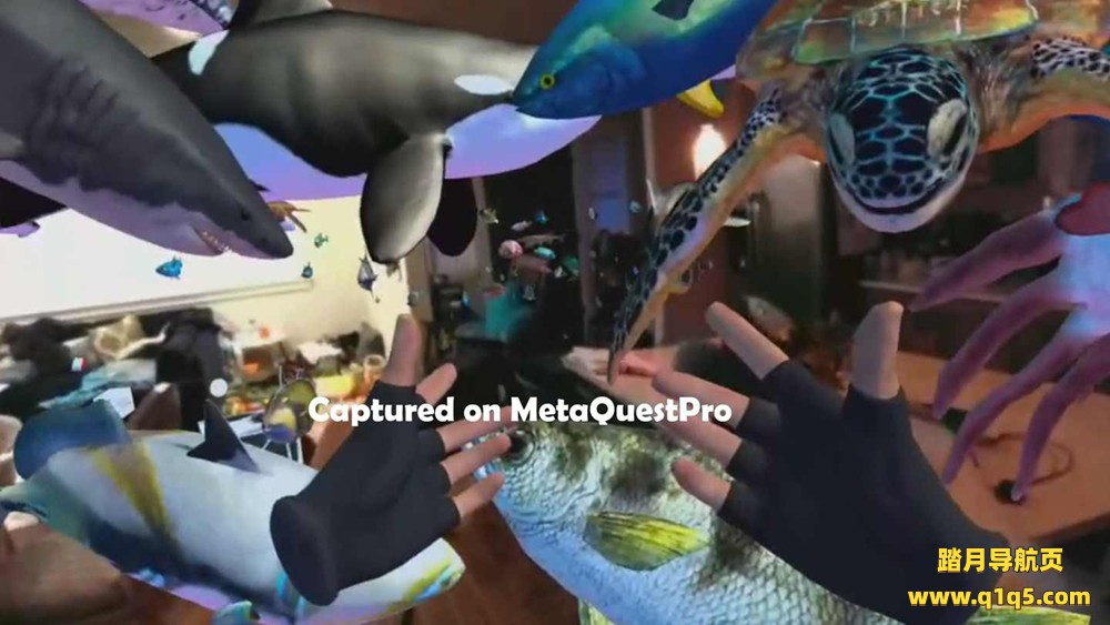 Oculus Quest 游戏《海洋世界》Ocean Passthrough