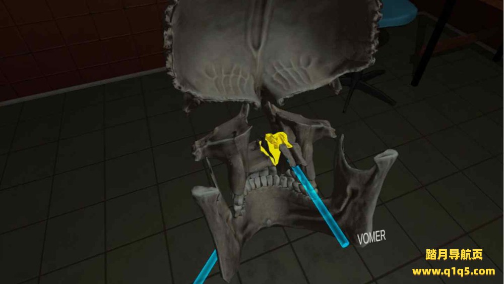 Oculus Quest 游戏《人体解剖学》Human Anatomy Puzzle