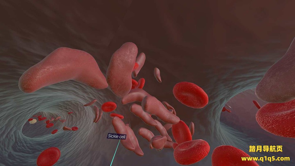 Oculus Quest 游戏《10k 科学》10k Science