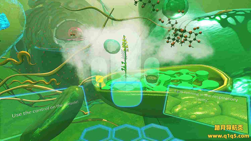 Meta Quest 游戏《VR植物之旅》VR Plant Journey