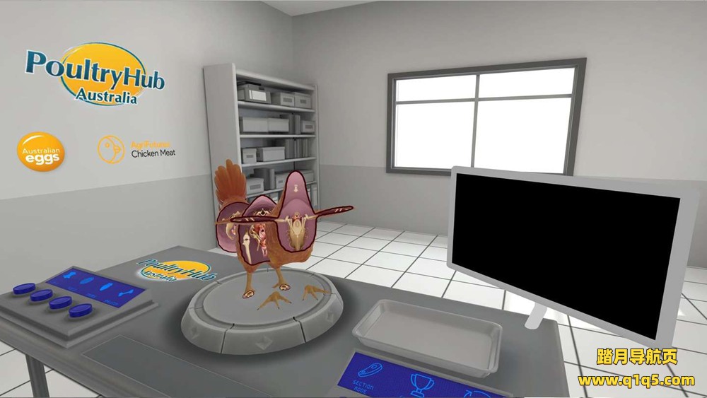 Oculus Quest 游戏《小鸡的解剖》Anatomy of a Chicken