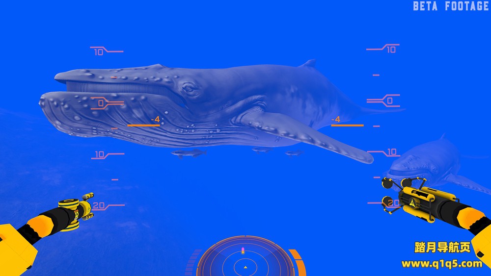 Oculus Quest 游戏《海洋之下》The Great Ocean