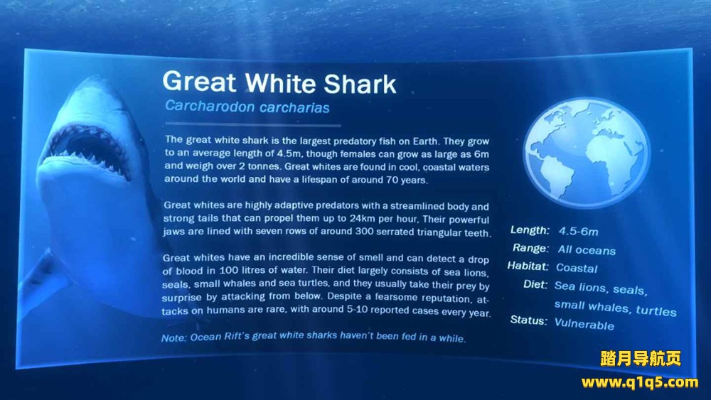 Oculus Quest 游戏《海洋裂谷》Ocean Rift