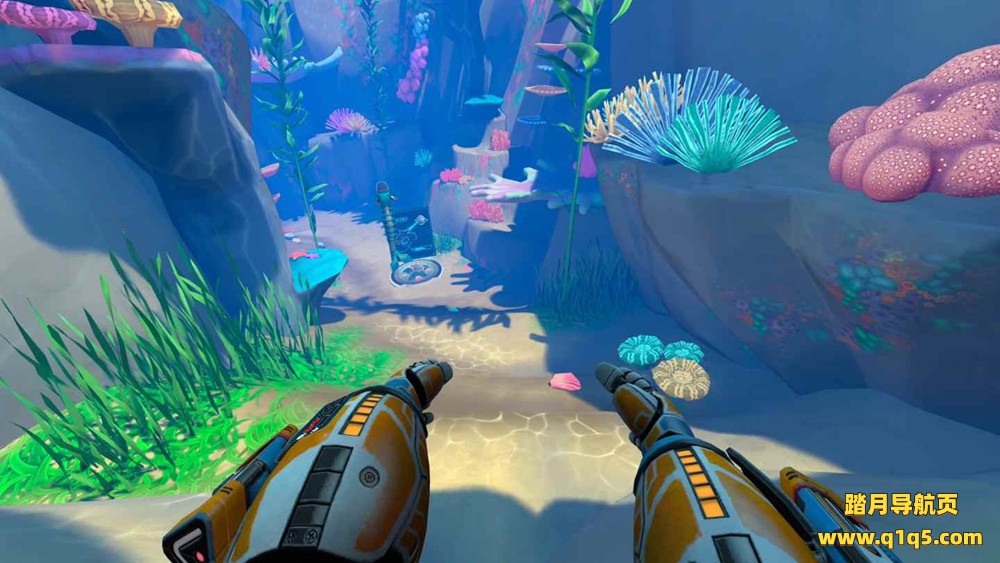 Meta Quest 游戏《深海：珊瑚礁之外》The Deep- Beyond the Reef