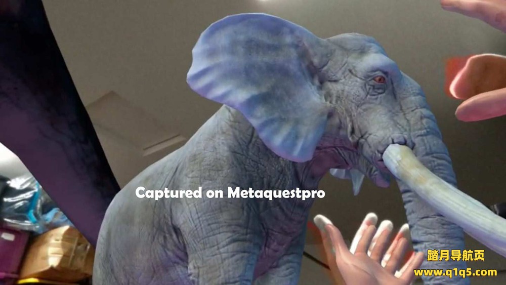 Meta Quest 游戏《丛林动物园海洋穿越》Jungle Zoo Ocean Passthrough Handtracking