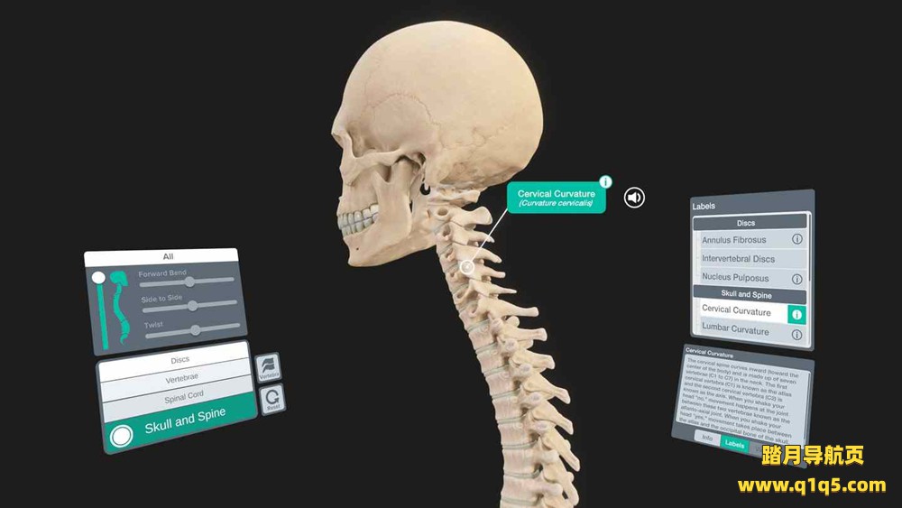 Oculus Quest 游戏《器官解刨学》Sharecare YOU Anatomy VR