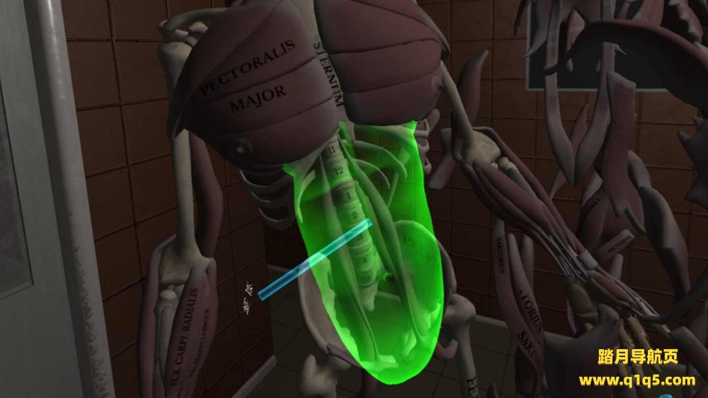 Oculus Quest 游戏《人体解剖学》Human Anatomy Puzzle