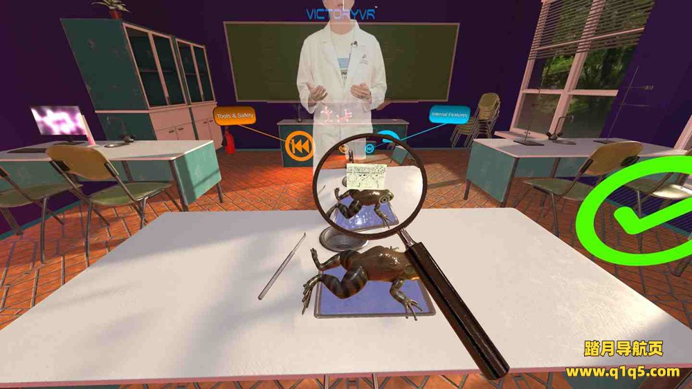 Oculus Quest 游戏《解剖模拟器 青蛙》Dissection Simulator Frog Edition