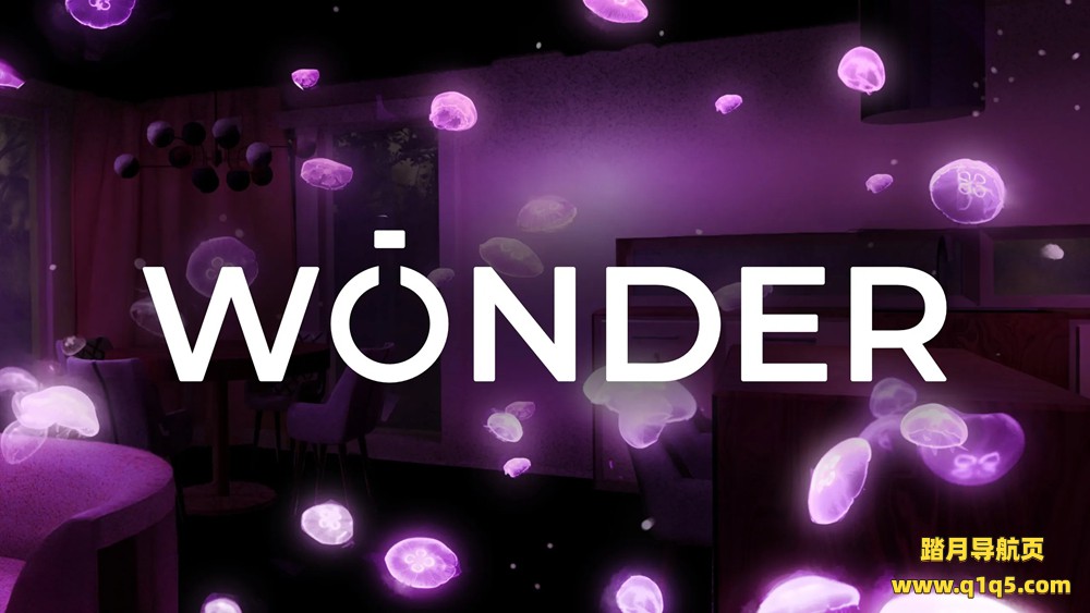 Meta Quest 游戏《探索》Wonder