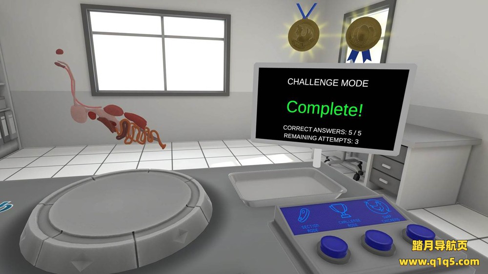 Oculus Quest 游戏《小鸡的解剖》Anatomy of a Chicken
