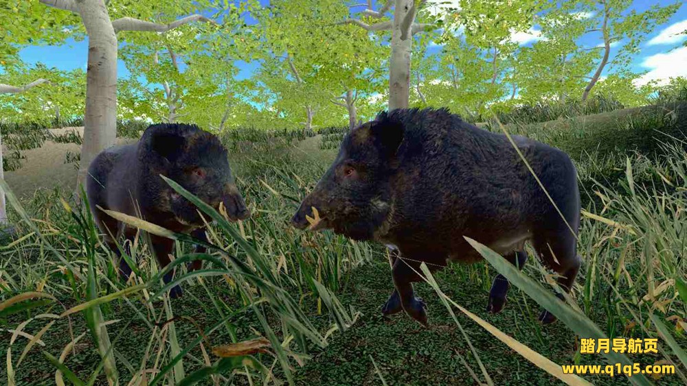 Oculus Quest 游戏《狩猎模拟器》Hunting Simulator