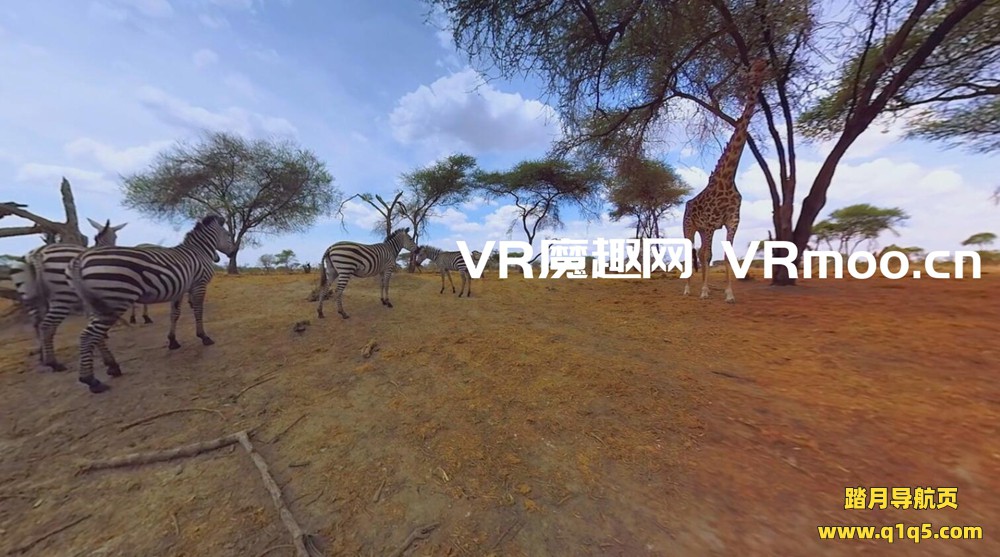 Oculus Quest 游戏《环游世界》Ehop VR