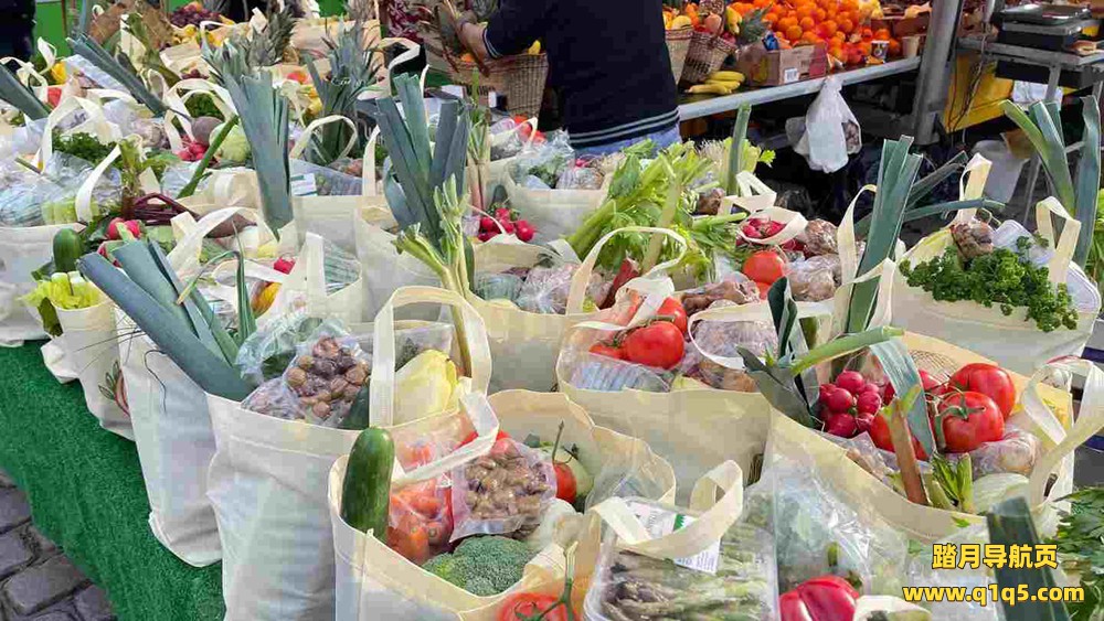 Meta Quest 应用《VR 旅行》Travel VR Mega – VRtravelX